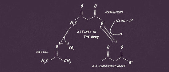 Ketones in the Body